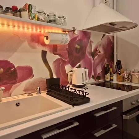 公寓 Let's Make Memories Together ! 布加勒斯特